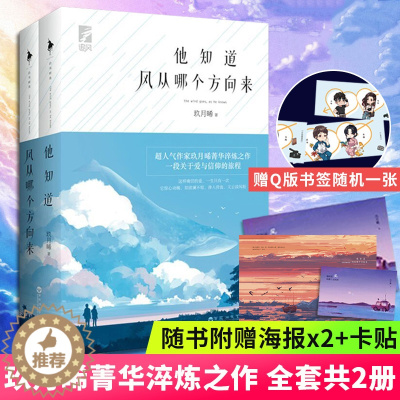 [醉染正版]他知道风从哪个方向来 玖月晞小说青春文学校园爱情都市情感 追风系列白色橄榄树少年的你如此美丽亲爱的阿基米德