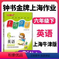 英语 六年级下 [正版]钟书金牌上海作业英语6年级六年级下N版钟书辅导书第二学期上海地区教辅小学教辅读物课外资料书课后练