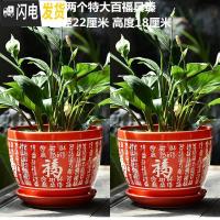 三维工匠中国风花盆陶瓷大号带福字简约特大号绿萝简约大红色家用喜庆 两个特大号百福具臻 特大花盆容器