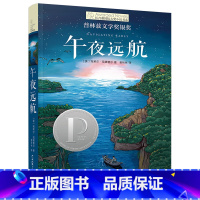 午夜远航 [正版]追逐金色的少年/长青藤国际大奖小说书系 青少年小学生课外阅读书籍儿童文学作品