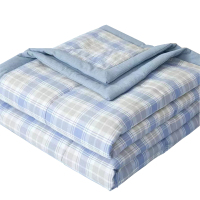 历途科技 全棉夏凉被 150CM*200CM 条