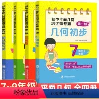 全套(4本) 初中通用 [正版]初中数学平面几何培优微专题几何初步+三角形+四边形+相似形与圆初一初二初三公式定律及考点