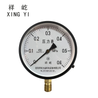 祥屹 压力表 Y150 0-0.6Mpa 块