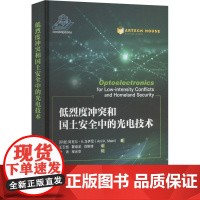 低烈度冲突和国土安全中的光电技术