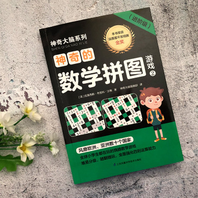 神奇的数学拼图游戏(2进阶级)/神奇大脑系列