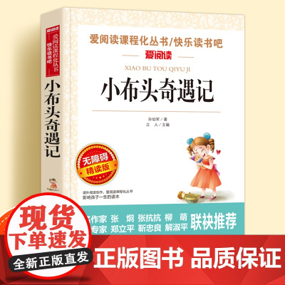 小布头奇遇记无障碍精读版儿童文学系列小学生课外阅读书小学三四五六年级经典书目天地出版社爱阅读课程化丛书名著语文课外读物