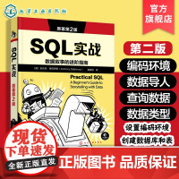 SQL实战 原著第2版 PostgreSQL写SQL入门教程 SQL基本数学与统计原理 PostGIS分析空间数据 从命