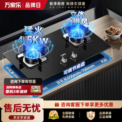 万家乐 钢化玻璃燃气灶炉具双眼灶 家式嵌入式两用灶具4.5KW一级能效天然气 家用双灶台LAY3