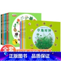 四季时钟第一辑+第二季[全12册] [正版]四季时钟少年版全6册第一辑美的科普系列乌纳雅各布绘本大地时钟草地时钟太阳时钟