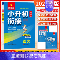 [2024-小升初衔接]语文 小学升初中 [正版]2024新江苏省小学毕业升学考试试卷精选28套实验班小升初真题卷语文数