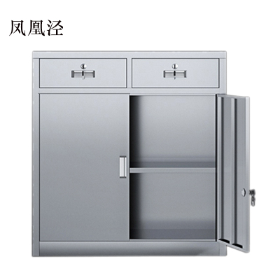 凤凰泾文件柜不锈钢柜子储物柜资料柜档案柜带锁文件柜201二斗下节