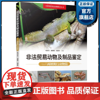 非法贸易动物及制品鉴定:两栖爬行动物篇 中国非法贸易动物鉴定丛书 保护野生动物打击野生动物非法贸易专业支持 广东科技出版