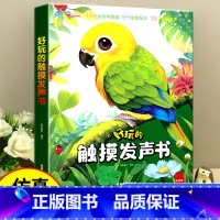 [早教⭐一本搞定]好玩的触摸发声书 [正版]好玩的触摸发声书婴儿早教点读宝宝认知绘本0到3岁益智发生书会发声的立体3d会