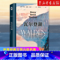 了不起的盖茨比 [正版]书店 瓦尔登湖 精 梭罗著 世界经典小说 小王子老人与海傲慢与偏见月亮和六便士 追风筝的人翻