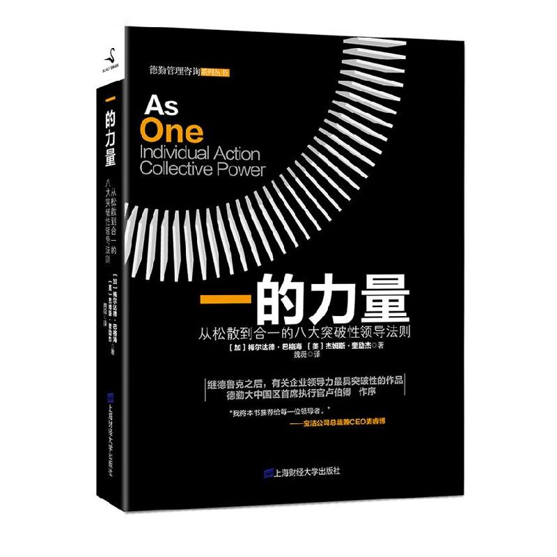 正版新书]一的力量Mehrdad Baghai, James Quigley9787564213961