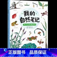 和大自然做游戏 [正版]博集天卷我的自然笔记全5册文津图书奖得主芮东莉自然探索科普绘本7-8-9-10-11-12-13