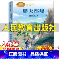 爬天都峰 [正版]爬天都峰四年级上册课外书黄亦波著人民教育出版社语文配套阅读人教版彩图美绘版王林主编课文作家作品系列