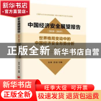 正版 中国经济安全展望报告(2018-2019):世界格局变动中的中国经