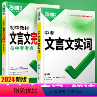 24版[文言文实词+文言文解读]2本 [正版]初中文言文实词虚词专项训练阅读理解全解七八九年级初一初二初三资料书2024