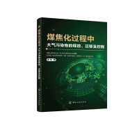 音像煤焦化过程中大气污染物的释放迁移及控制牟玲