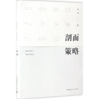 音像剖面策略刘翠著