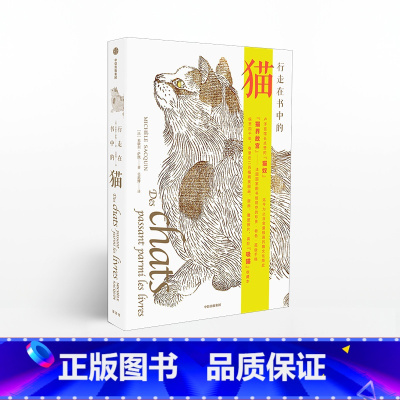 [正版]F 行走在书中的猫 200张猫生绝版手稿 猫文化简史 高阶吸猫玩家收藏本 法国卢浮宫馆长倾情 出版社