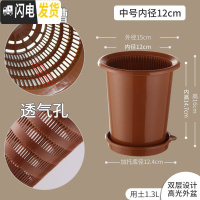 三维工匠君子兰蝴蝶兰专用花盆透气塑料树脂月季控根花盆 内径12cm咖色+咖托盘 中等花盆容器