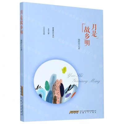 [N]月是故乡明-9787539670539