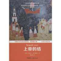 音像上帝的结(俄罗斯)亚历山大·多罗费耶夫 著;杨心悦 译
