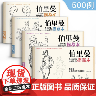 伯里曼人体结构教学描摹本[四册全套] 正版速写人物结构绘画练sh
