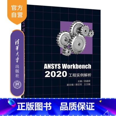 [正版]ANSYS Workbench 2020工程实例解析 田建辉 有限元分析应用软件
