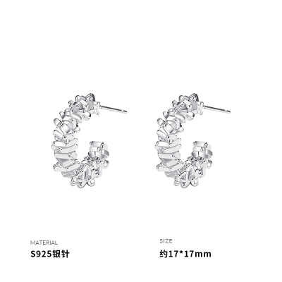 925纯银耳针满天星耳钉女耳环耳饰潮流ins风高级感轻奢个性送女朋友老婆情人节七夕生日礼物