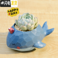 三维工匠zakka田园多肉花盆可爱卡通动物花盆鲸鱼花园派对创意小花盆套餐 鲸鱼蓝色+白月影+happy配土+铺面花盆容器