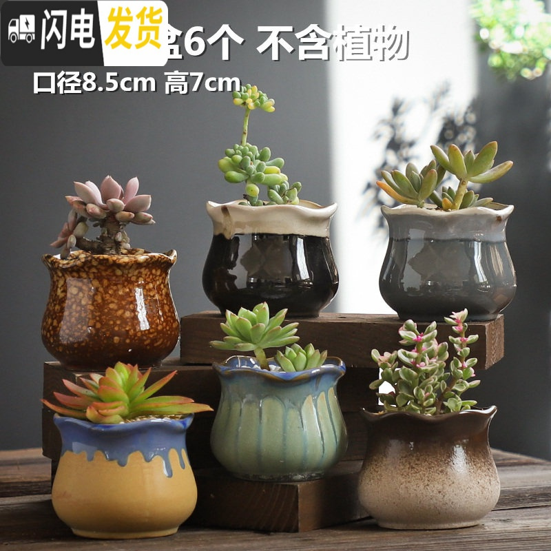三维工匠多肉花盆陶瓷大号肉肉植物个性绿萝创意简约大口径小花盆 布袋花盆6个 小花盆容器
