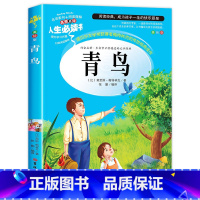 青鸟 [正版]带真题考点老师昆虫记原著完整版法布尔全集三年级必读小学生三四年级彩图美绘版
