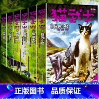 [正版]猫武士五部曲全套6册目光小径/惊雷乍现/首战风云/燃烧之星开枝散叶/群星之路 猫武士外传套装奇幻小说故