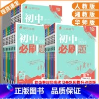 化学人教版 九年级下 [正版]湖南2024新版初中必刷题七年级八年级九年级上册数学语文英语物理化学历史地理道德与法治初初
