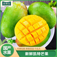 [苏鲜生] 新鲜凯特芒 净重9斤装 特大果 单果600g左右 整箱新鲜现摘热带时令水果甜心芒应季水果1