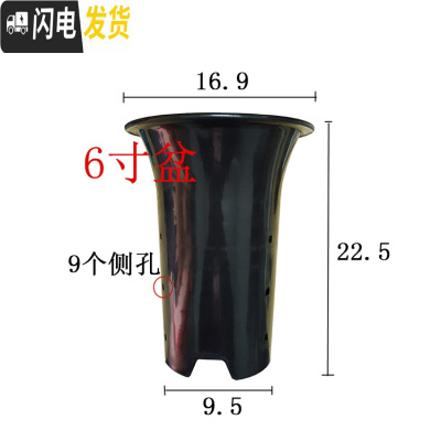 三维工匠园艺兰花盆塑料大中小号透气黑色带孔国兰君子兰墨兰花专用盆 6寸 这是1个(4个起发货)花盆容器