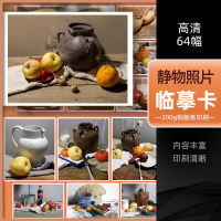 [正版图书]静物照片临摹卡64幅2022沐尚文化 基础入门单体组合明暗对照写生临摹精美文创意作品书本美术高级院校艺联考教