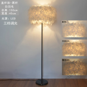 苏宁放心购 羽毛落地灯钓鱼客厅卧室书房创意网红遥控北欧极ins风立式台灯