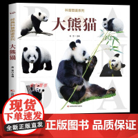 [大开本]大熊猫 经典科普图鉴系列大熊猫 儿童科普读物百科大全6-7-8-10-12岁小学生课外阅读百科全书 高清大图科