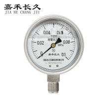 嘉禾长久 不锈钢耐震压力表检测定制型 YTN100BF 块
