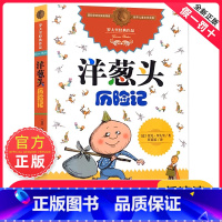 洋葱头历险记 [正版]洋葱头历险记 罗大里儿童文学全集经典系列 任溶溶先生译本 3-6-9岁二三四五年级课外书少儿幼儿启