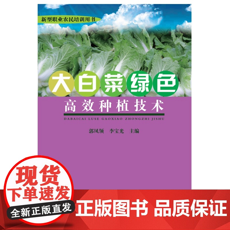 大白菜绿色高效种植技术