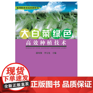 大白菜绿色高效种植技术