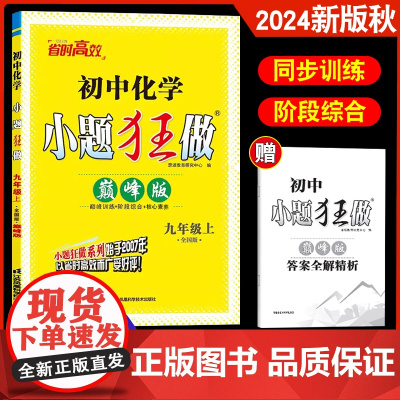 2024秋新版恩波教育 初中化学小题狂做提优版九年级上 全国版初三9年级上初中同步复习练习课时教辅附赠小帮手答案 云点图