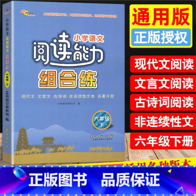 [正版]2023新版小学语文阅读能力组合练六年级下册现代文言文古诗词非连续性文本名著片段阅读理解专项训练6年级下同步阅读