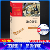 [正版]地心游记 无障碍阅读彩插励志版 快乐读书吧小学生二三四五六年级阅读课外书必读书籍书目 6-12岁儿童文学青少年