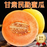 顺丰快递 彩箱装[熊猫鸟]国产特产 甘肃民勤甜瓜 蜜瓜 净重6-7斤共2个装 香甜可口 新鲜水果应季金红宝蜜瓜